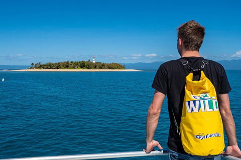 Half Day Low Isles Snorkelling Tour From Port Douglas - Accommodation Adelaide 1