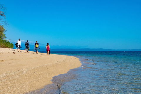 Half Day Low Isles Snorkelling Tour From Port Douglas - Accommodation Adelaide 3