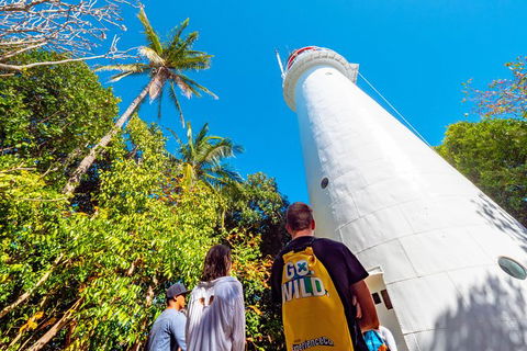 Half Day Low Isles Snorkelling Tour From Port Douglas - Accommodation Adelaide 7
