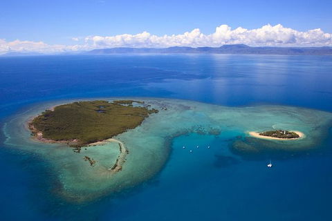 Half Day Low Isles Snorkelling Tour From Port Douglas - Accommodation Adelaide 4