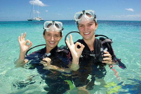 Ocean Spirit Michaelmas Cay Dive And Snorkel Cruise From Palm Cove - Accommodation Adelaide 0