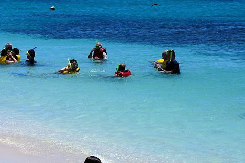 Ocean Spirit Michaelmas Cay Dive And Snorkel Cruise From Palm Cove - Accommodation Adelaide 1