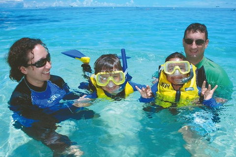 Ocean Spirit Michaelmas Cay Dive And Snorkel Cruise From Palm Cove - Accommodation Adelaide 5