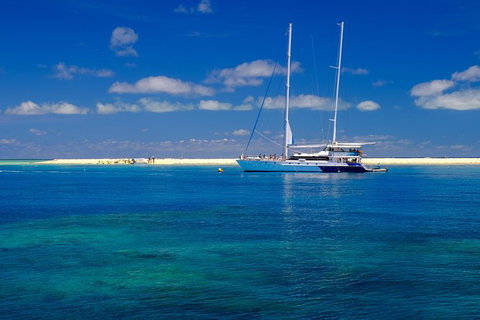 Ocean Spirit Michaelmas Cay Dive And Snorkel Cruise From Palm Cove - Accommodation Adelaide 3