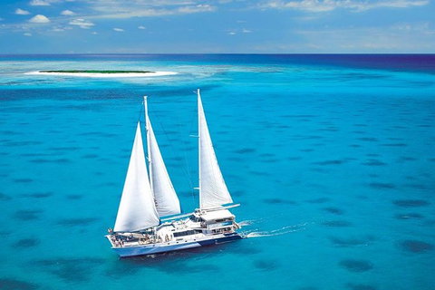 Ocean Spirit Michaelmas Cay Dive And Snorkel Cruise From Palm Cove - Accommodation Adelaide 8