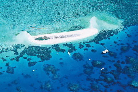 Ocean Spirit Michaelmas Cay Dive And Snorkel Cruise From Palm Cove - Accommodation Adelaide 7