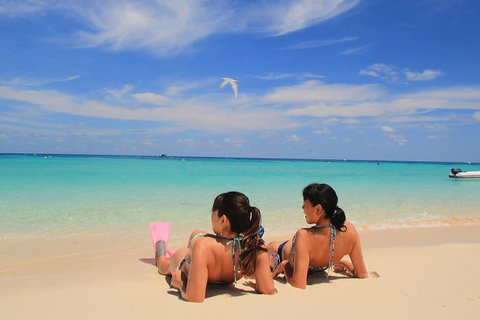 Ocean Spirit Michaelmas Cay Dive And Snorkel Cruise From Palm Cove - Accommodation Adelaide 2