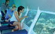 Ocean Spirit Michaelmas Cay Dive And Snorkel Cruise From Palm Cove - thumb 4