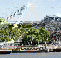 Brisbane River Cruise Morning - Accommodation Adelaide