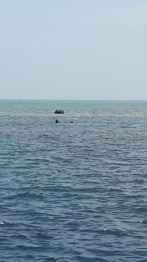 Great Barrier Reef Cruise From Townsville Or Magnetic Island - Accommodation Adelaide 2