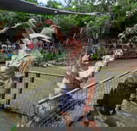 Hartley's Crocodile Adventures Day Trip from Cairns - Accommodation Adelaide