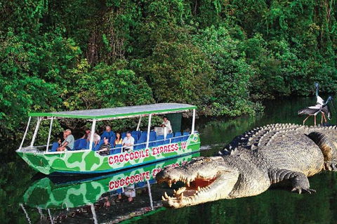 Daintree River Cruise - Accommodation Adelaide 7