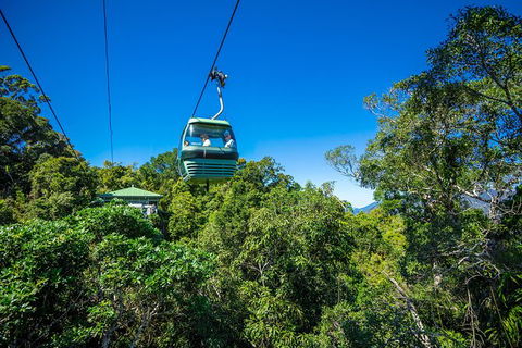 Kuranda Scenic Railway Day Trip From Palm Cove - Accommodation Adelaide 3