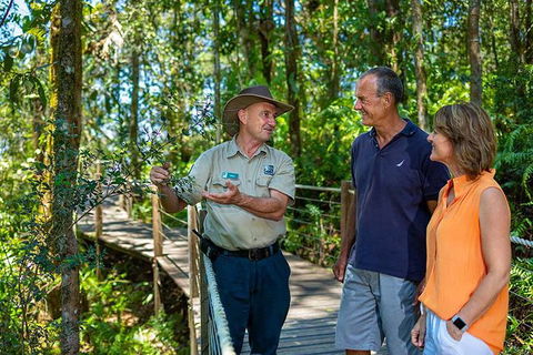 Kuranda Scenic Railway Day Trip From Palm Cove - Accommodation Adelaide 4