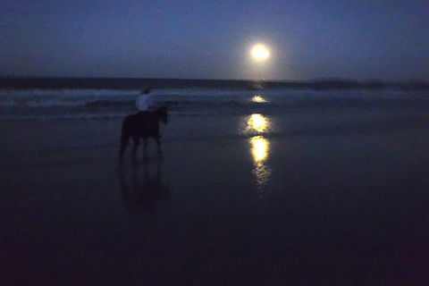 Full Moon Horse Ride At Rainbow Beach - Accommodation Adelaide 0