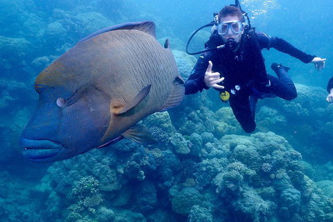 Calypso Outer Great Barrier Reef Cruise From Port Douglas - Accommodation Adelaide 6