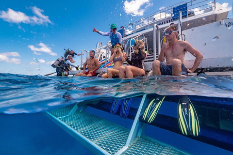Calypso Outer Great Barrier Reef Cruise From Port Douglas - Accommodation Adelaide 4