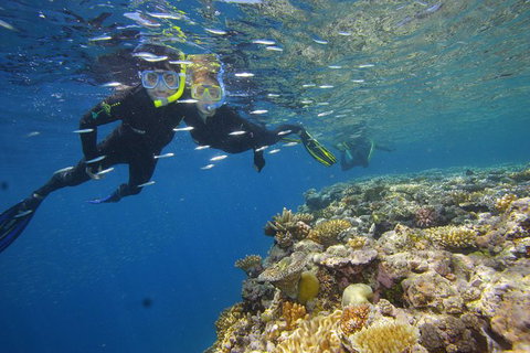 Calypso Outer Great Barrier Reef Cruise From Port Douglas - Accommodation Adelaide 3