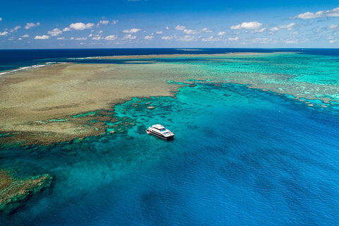 Calypso Outer Great Barrier Reef Cruise From Port Douglas - Accommodation Adelaide 12
