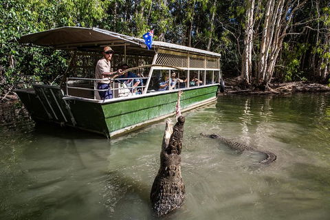 Hartley\'s Crocodile Adventures Day Trip From Palm Cove - Accommodation Adelaide 0