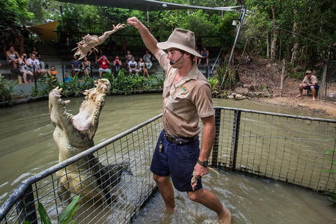 Hartley\'s Crocodile Adventures Day Trip From Palm Cove - Accommodation Adelaide 1