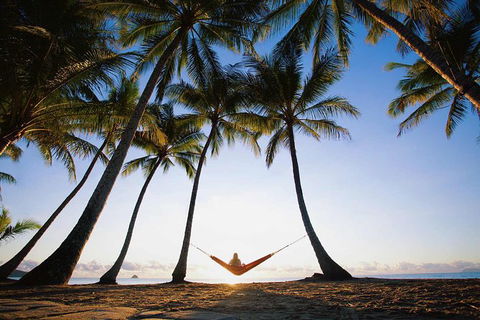 Port Douglas And Hartley's Crocodile Adventure Day Trip From Cairns - Accommodation Adelaide 0