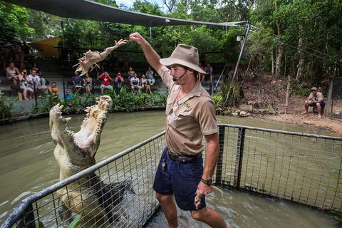 Port Douglas And Hartley's Crocodile Adventure Day Trip From Cairns - Accommodation Adelaide 1