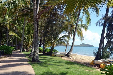Palm Cove, Clifton Beach, Kewarra Beach To/from Cairns - Accommodation Adelaide 0