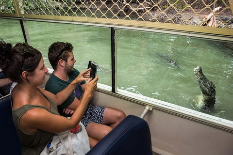 Hartley\'s Crocodile Adventures General Entry Ticket - Accommodation Adelaide 1