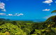 Cape Tribulation Day Tour - thumb 0