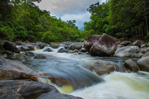 Cape Tribulation Day Tour - Accommodation Adelaide 7