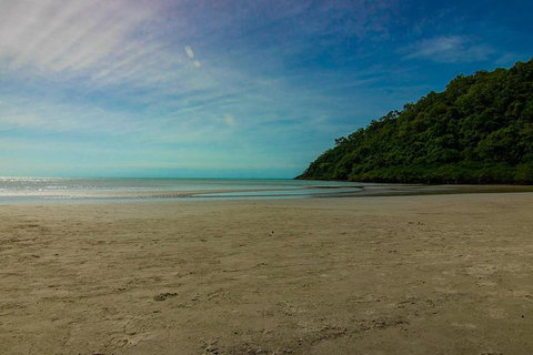 Cape Tribulation Day Tour - Accommodation Adelaide 8