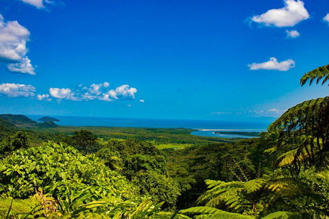 Cape Tribulation Day Tour - Accommodation Adelaide 2
