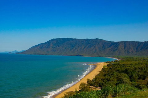 Cape Tribulation Day Tour - Accommodation Adelaide 4