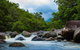 Cape Tribulation Day Tour - thumb 5