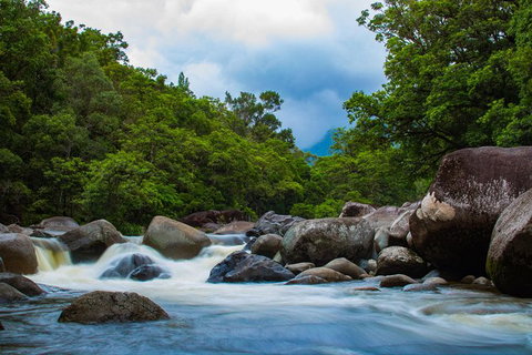 Cape Tribulation Day Tour - Accommodation Adelaide 5