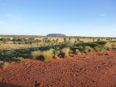 Uluru Small-Group Tour By Camel At Sunrise Or Sunset - Accommodation Adelaide 9