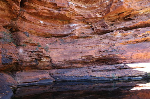 Kings Canyon Day Trip From Ayers Rock - Accommodation Adelaide 16