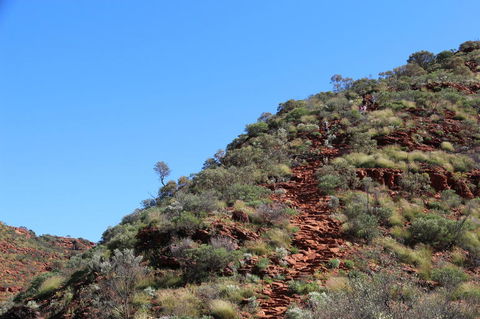 Kings Canyon Day Trip From Ayers Rock - Accommodation Adelaide 21