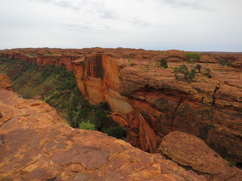 Kings Canyon Day Trip From Ayers Rock - Accommodation Adelaide 10