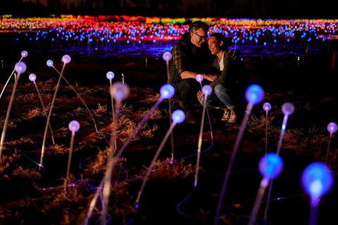 Uluru Field Of Light Sunrise Tour - Accommodation Adelaide 6