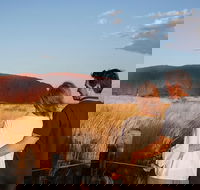 Uluru Ayers Rock Sunset with Outback Barbecue Dinner and Star Tour - Accommodation Adelaide