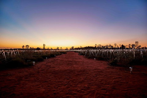 Uluru & Kata Tjuta Sights & Sounds - Accommodation Adelaide 16
