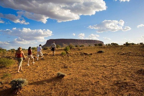 Mount Conner 4WD Small Group Tour From Ayers Rock Including Dinner - Accommodation Adelaide 7