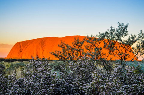 Uluru Sunrise And Kata Tjuta Half Day Trip - Accommodation Adelaide 2