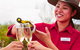 Ayers Rock Combo: Uluru Base And Sunset Plus Uluru Sunrise And Kata Tjuta With An Optional BBQ Dinner Or Kings Canyon Day Trip - thumb 3