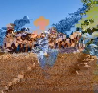 Skip-the-Line Katherine Outback Experience Show Ticket - Accommodation Adelaide
