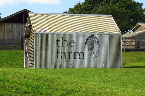 3-Hour Small-Group Byron Bay Tour - Accommodation Adelaide 10