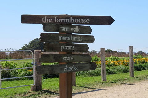 3-Hour Small-Group Byron Bay Tour - Accommodation Adelaide 3