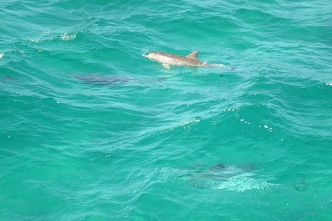 3-Hour Small-Group Byron Bay Tour - Accommodation Adelaide 5